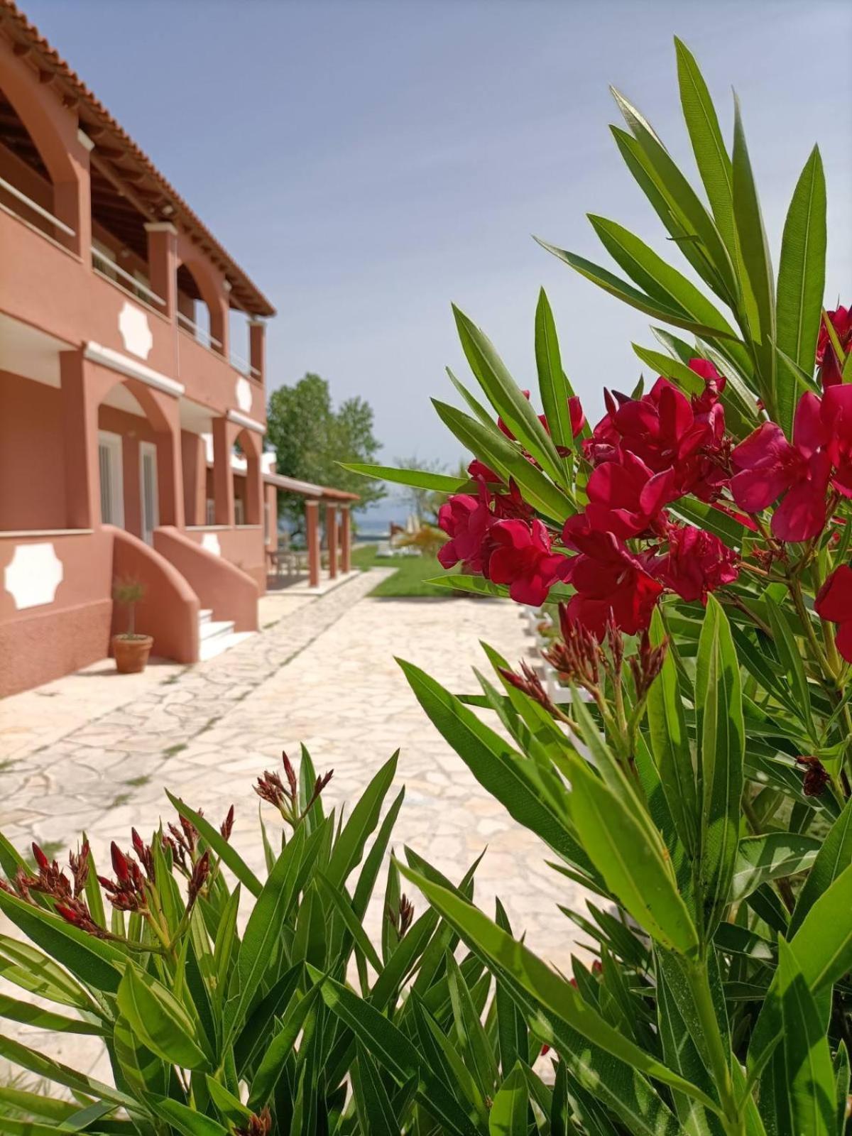 Melador Beachfront Apartments Kávos Exteriör bild